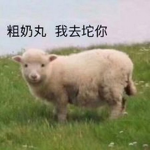 羊小贷现在叫什么