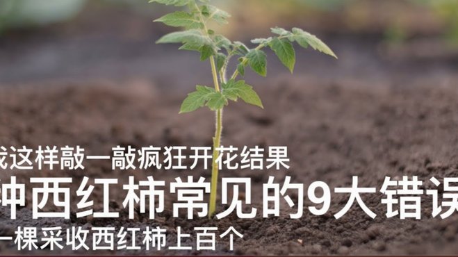 携程拿去花提现全攻略