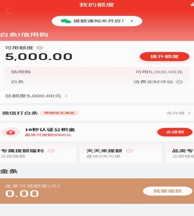 白条额度如何助力商家资金流转