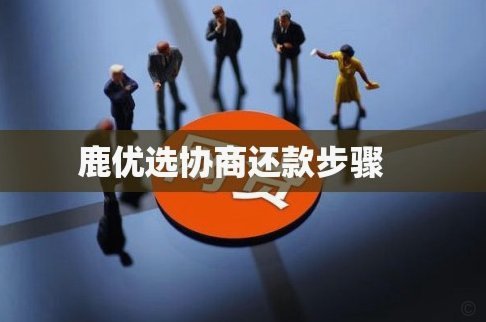 鹿优选10500额度，怎么转不出来？