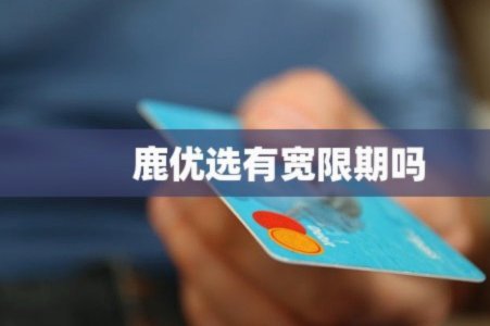 鹿优选10500额度转不出来