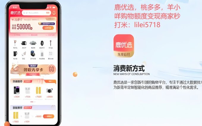 数据驱动的商家变现新模式