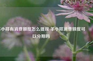 羊小咩贷款怎么提现