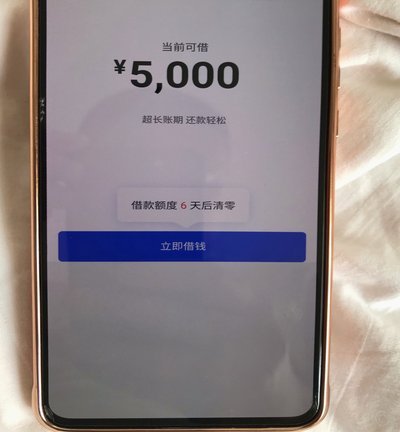 分期乐从哪看总额度