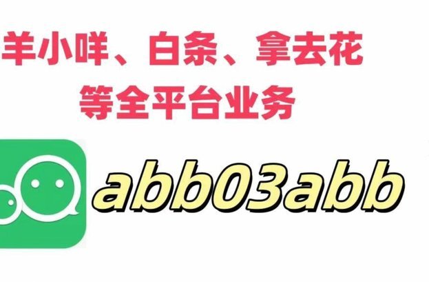 羊小咩购物额度如何提升策略解析