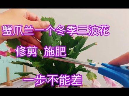 花呗套现：风险与操作指南