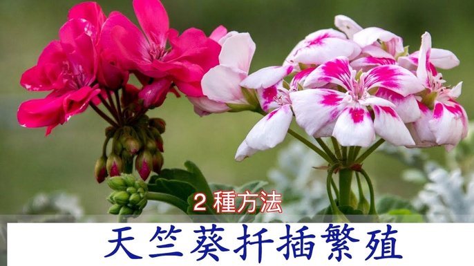 套现花呗怎么弄
