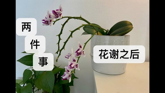 套现花呗平台有哪些 出资方式