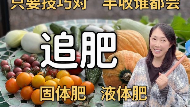 得物额度的科学把握与平衡之道