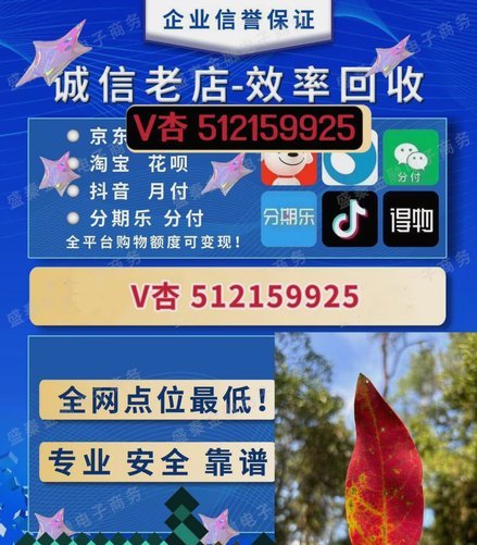 羊小咩如何快速提升消费额度