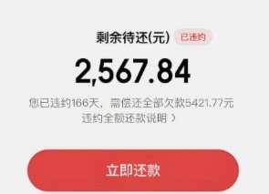 京东白条可用加油额度是什么