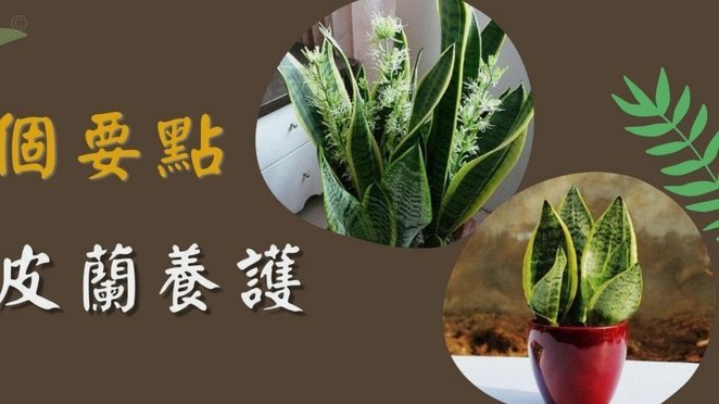去哪儿花套现手续费多少？1%-3%全解析