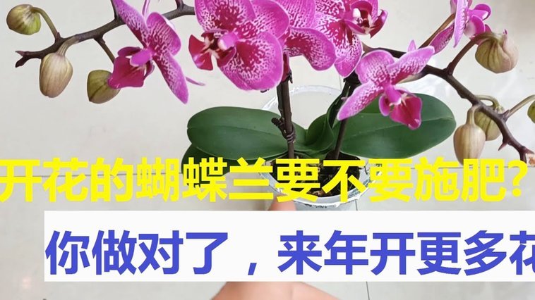用花呗套付款可靠吗? 取现