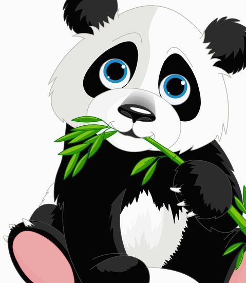 美团月付恢复指南：深度解析与解决