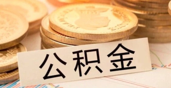多头借款被拒？这背后有原因！