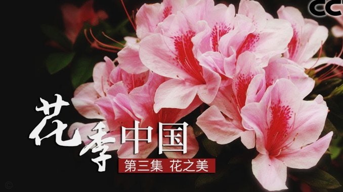携程积分：能变现吗？值多少？