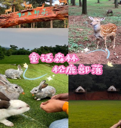 鹿优选怎么取消小鹿尊享