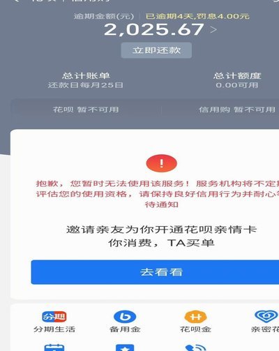 花呗：转型期的挑战与变革
