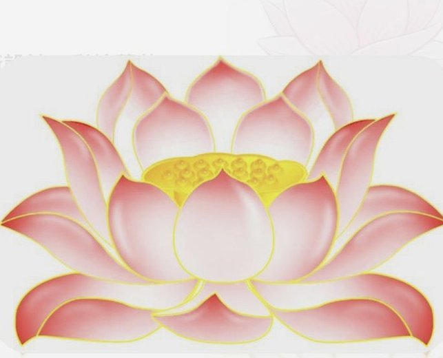 套花呗合法吗