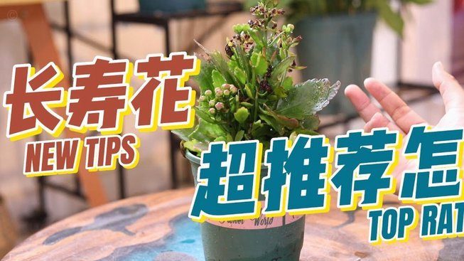 携程拿去花取现商家 现金怎么取