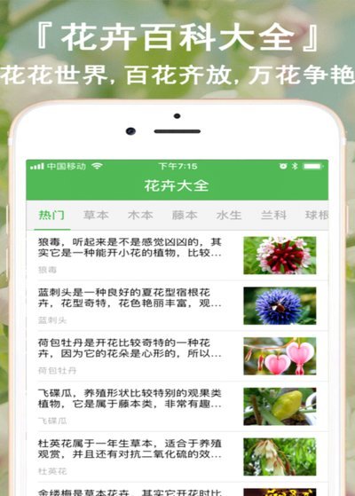 商家套现平台违法吗？