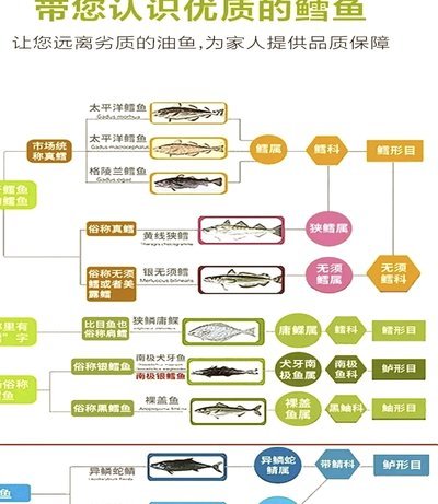 鹿优鲜鳕鱼安全吗？冷链物流成关键考验
