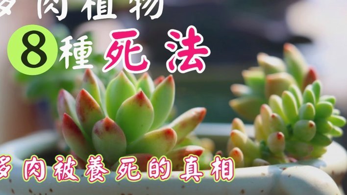 拿去花套现5000元要紧吗知乎