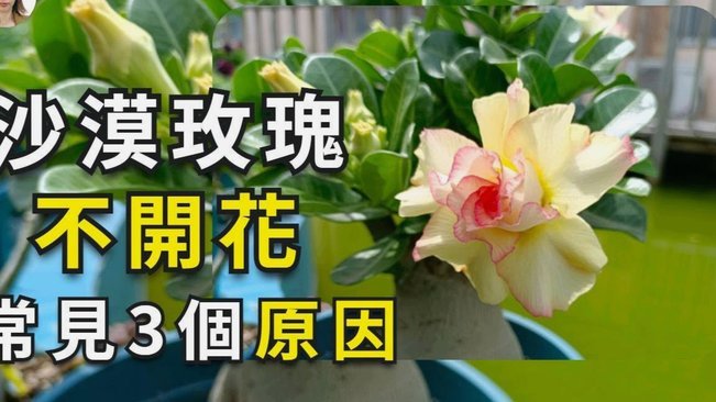 拿去花套现5000元要紧吗知乎