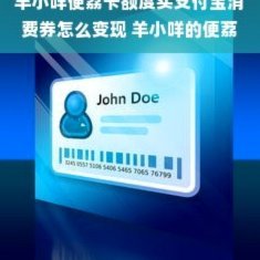 便荔卡额度如何赋值