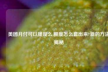 如何套美团月付