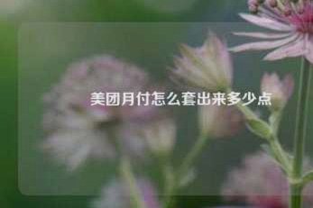 如何套美团月付