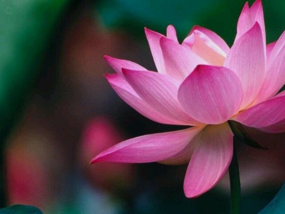 花呗套现风险与合规替代方案