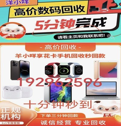 羊小咩购物额度瞬间到账揭秘