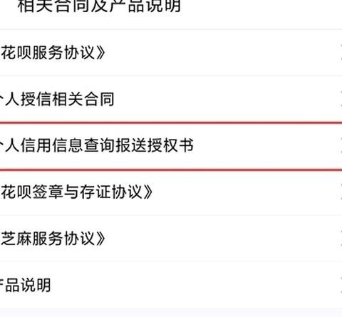 花呗情况说明怎么写模板