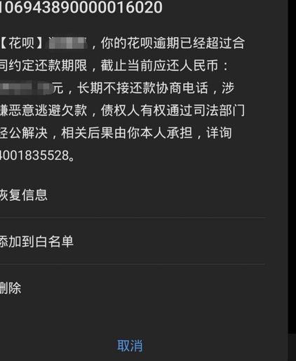 花呗情况说明怎么写模板