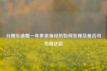 分期乐无力偿还怎么办？